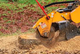 Best Lawn Mowing  in Castle Rock, CO