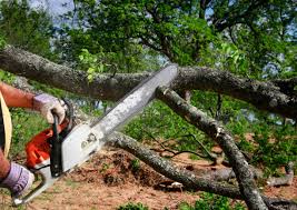 Lawn Watering Services in Castle Rock, CO